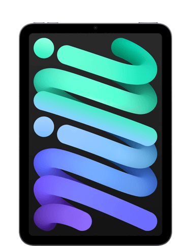 iPad Mini